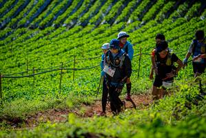 BIB: 3305
                            <button type="button" onclick="openModal(19162307)" class="btn btn-primary btn-sm float-right btn-popup" data-toggle="modal" data-target=".modal-high-quality">
                        <i class="fas fa-shopping-cart"></i> Add to Cart
                    </button>
                                            <button type="button" onclick="isThisMe(19162307, true)" class="btn btn-success btn-sm float-right btn-popup btn-isme hidden" data-toggle="tooltip" data-placement="bottom" title="นี่คือรูปของคุณใช่ไหม คลิกที่นี่เพื่อเอาเข้าอัลบั้ม">
                        <i class="fas fa-plus"></i> Add to album
                    </button>
                    <button type="button" onclick="isThisMe(19162307, false)" class="btn btn-warning btn-sm float-right btn-popup btn-isnotme hidden">
                        <i class="fas fa-ban"></i> Remove from album
                    </button>